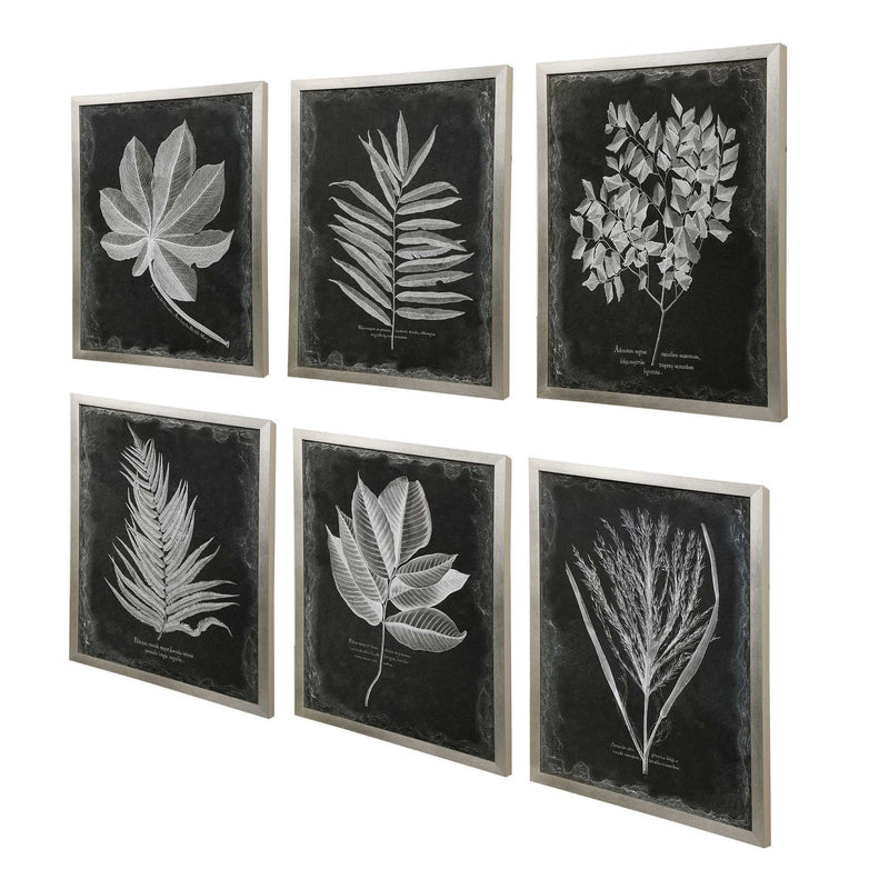 Set of six black framed foliage prints by Uttermost, featuring botanical artwork on white backgrounds for wall decor.