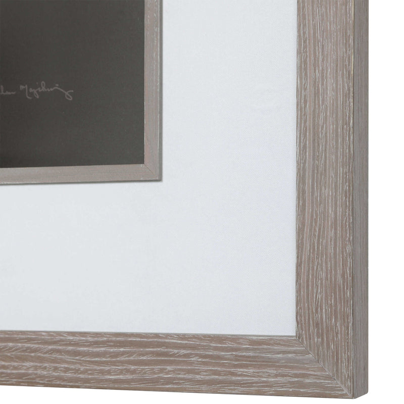 Framed print of a dandelion seedhead in black frame by Uttermost, showcasing delicate seed details on a neutral background.