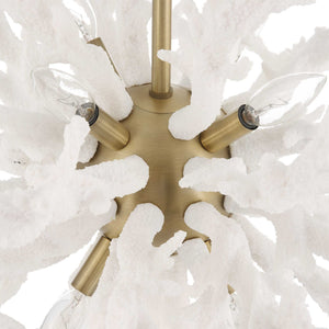 Coral Reef - 8 Light Pendant - Brass