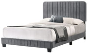 Channel Tufted Bed - R&R Furniture Gallery (Fountain Valley, CA)