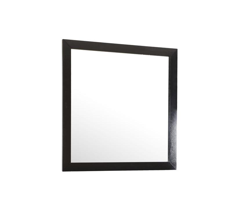 Glory Furniture Burlington modern transitional wall mirror with sleek rectangular frame, designed for stylish home decor.