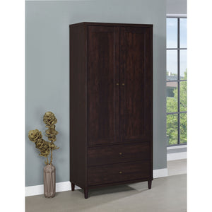 Nestor - 2 Drawer Tall Accent Cabinet With 2 Doors - Rustic