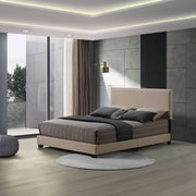 Leandros - Bed - R&R Furniture Gallery (Fountain Valley, CA)