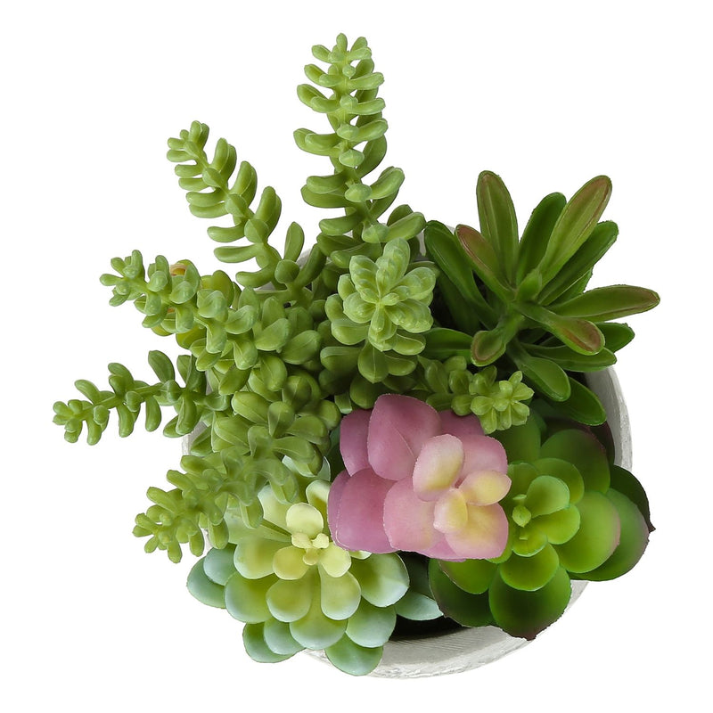 Artificial Succulent Table Decor (Set of 2) - Green - Plastic