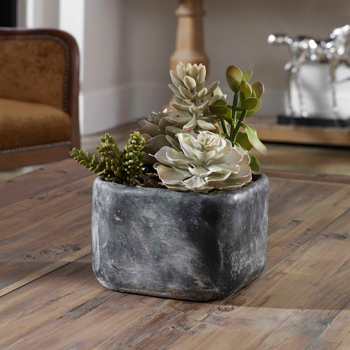 Alverio - Desert Garden Succulents - Gray