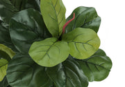 47" Tall, Artificial Plant, Fiddle Tree, Indoor, Faux, Fake, Floor, Greenery, Potted, Real Touch, Decorative - Green / Black - R&R Furniture Gallery (Fountain Valley, CA)