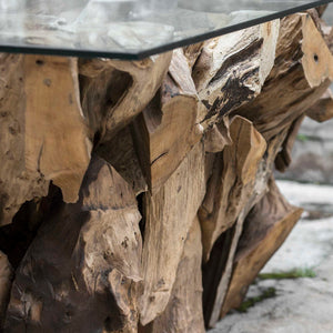 Teak - Root Coffee Table - Woodtone