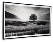 Deborland - Wall Art - Black / White - R&R Furniture Gallery (Fountain Valley, CA)