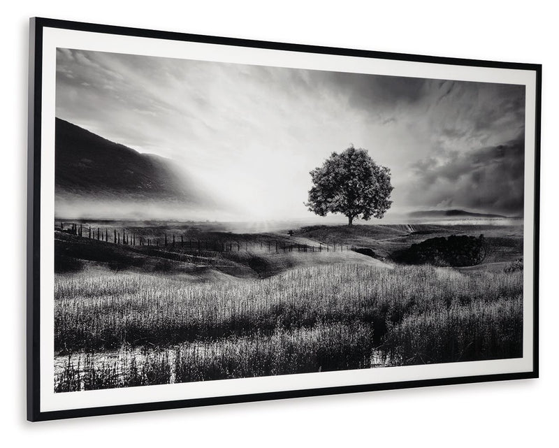 Deborland - Wall Art - Black / White - R&R Furniture Gallery (Fountain Valley, CA)