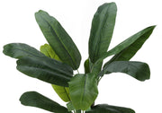55" Tall, Artificial Plant, Banana Tree, Indoor, Faux, Fake, Floor, Greenery, Potted, Real Touch, Decorative - Green / Black - R&R Furniture Gallery (Fountain Valley, CA)