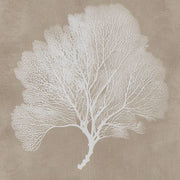 Hendridge - Wall Art Set (Set of 3) - Taupe / White - R&R Furniture Gallery (Fountain Valley, CA)