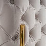 Clarice - Transitional Light Beige Velvet Chair — view 4