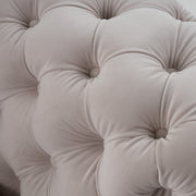 Clarice - Transitional Light Beige Velvet Chair — view 5