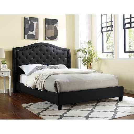 Carly Queen Bed - R&R Furniture Gallery (Fountain Valley, CA)