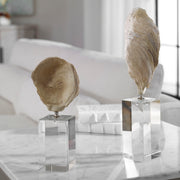 Set of two beige oyster shell sculptures by Uttermost, decorative figurines with natural textured details for coastal decor.