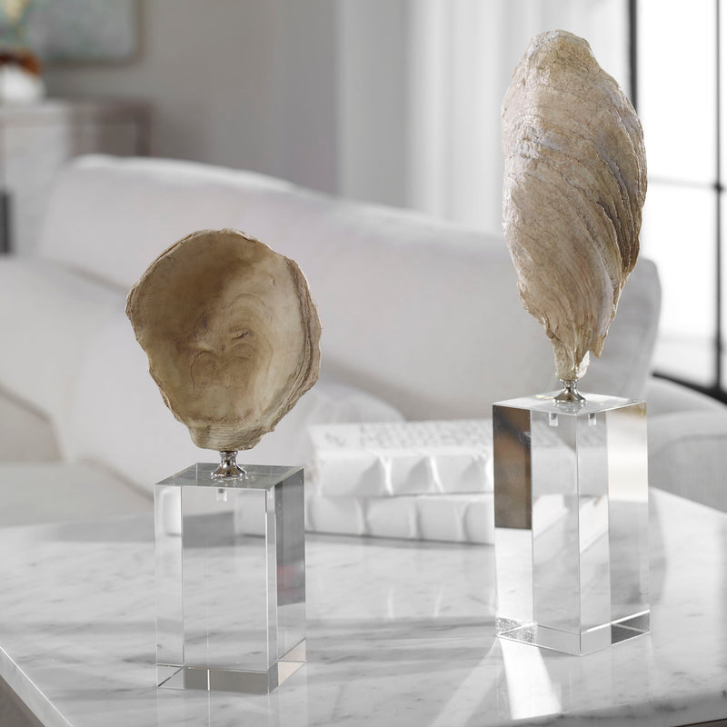 Set of two beige oyster shell sculptures by Uttermost, decorative figurines with natural textured details for coastal decor.