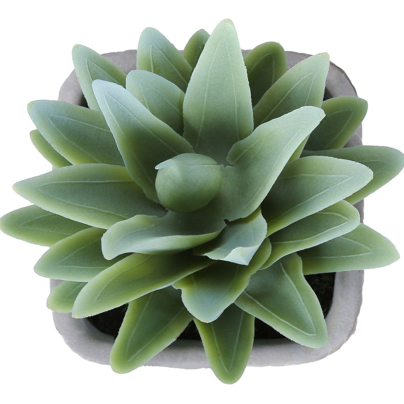 Artificial Succulent Table Decor (Set of 2) - Green Plastic