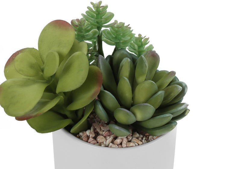 Set of 2 artificial succulent plants from 8th Street, featuring realistic green cactus and rosette designs in decorative pots.