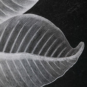 Set of six black framed foliage prints by Uttermost, featuring botanical illustrations on white backgrounds.