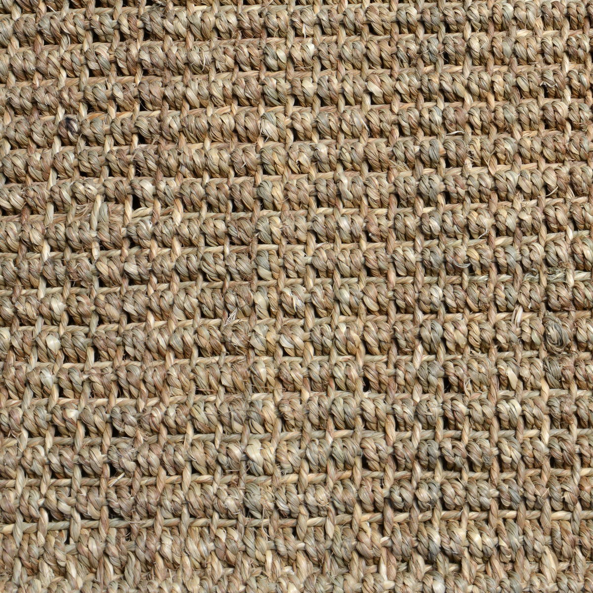 Seagrass - Rug