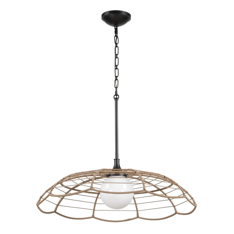 Lakeside - Indoor-Outdoor 1 Light Pendant - Black