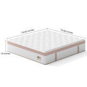 14" King Size, Firm Hybrid Mattress, Gel Memory Foam & Pocket Springs, Pressure Relief, Motion Isolation, Ergonomic Bed - White - R&R Furniture Gallery (Fountain Valley, CA)