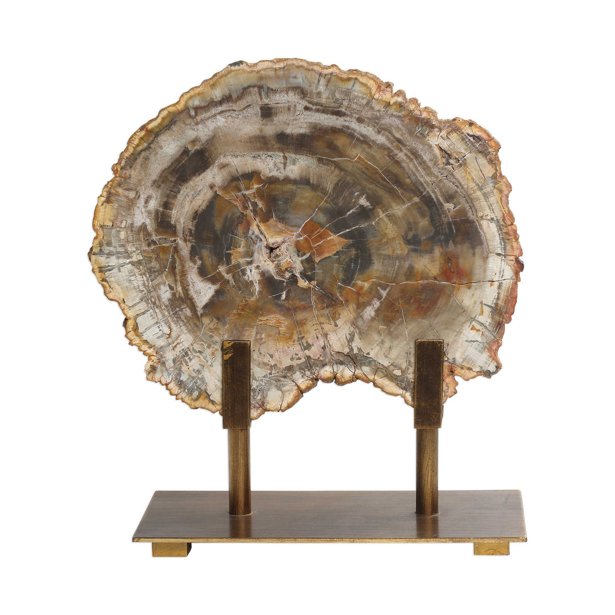 Petrified - Wood Sculpture - Bronze / Brown / Woodtone