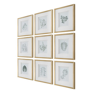 Nature's - Script Framed Botanical Prints (Set of 9) - Gold / Green / White
