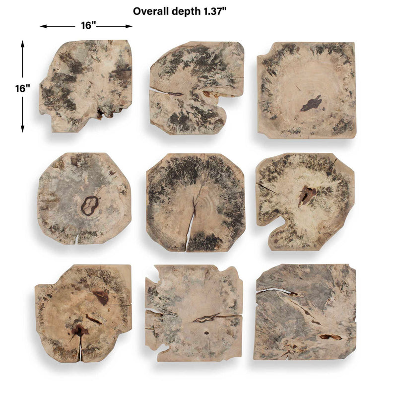 Bahati - Wood Bleached Wall Decor (Set of 9) - Brown