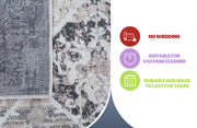 Payas - Traditional Area Rug - R&R Furniture Gallery (Fountain Valley, CA)