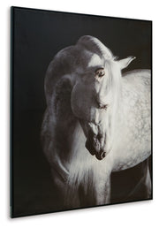 Archerwick - Wall Art - Black / White - R&R Furniture Gallery (Fountain Valley, CA)