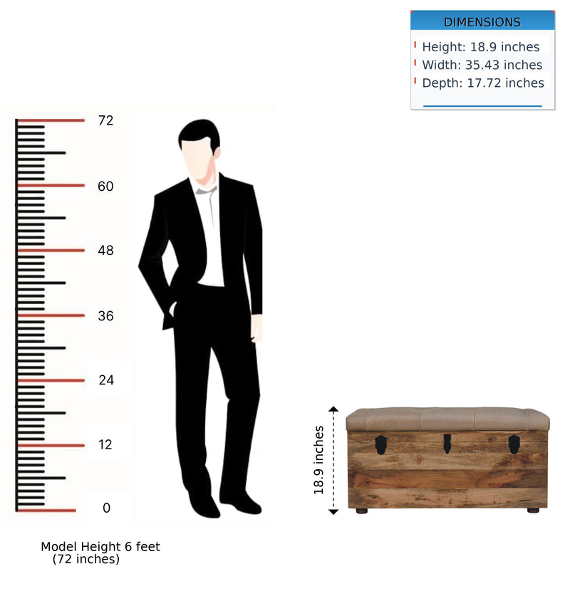 Buffalo - Storage Trunk - R&R Furniture Gallery (Fountain Valley, CA)