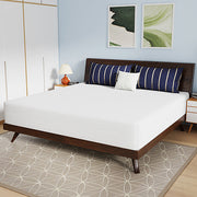 Nasturtium 12" E.King Bamboo Charcoal Infused Memory Foam - R&R Furniture Gallery (Fountain Valley, CA)