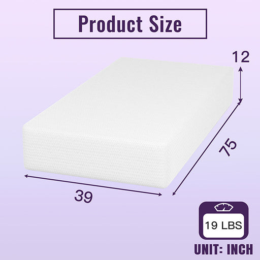 Nasturtium 12" Twin Bamboo Charcoal Infused Memory Foam - R&R Furniture Gallery (Fountain Valley, CA)