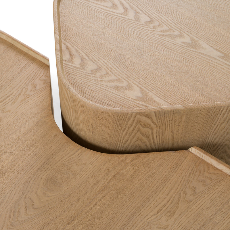 Quillen - Modern Natural Ash Nesting Coffee Table Set — view 3