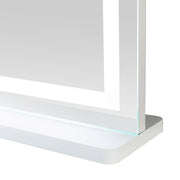 Lola - LED Panel Vanity Mirror - R&R Furniture Gallery (Fountain Valley, CA)