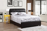 Tufted Upholstered Bed - R&R Furniture Gallery (Fountain Valley, CA)