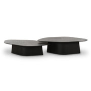 Roche - Nesting Coffee Table Set - R&R Furniture Gallery (Fountain Valley, CA)