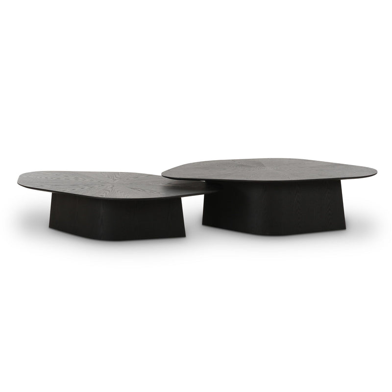 Roche - Nesting Coffee Table Set - R&R Furniture Gallery (Fountain Valley, CA)