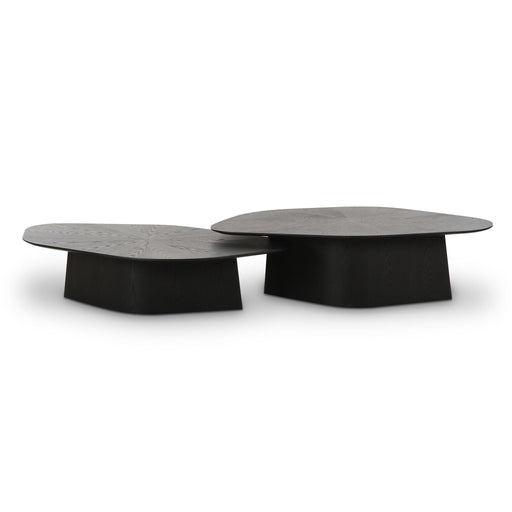 Roche - Nesting Coffee Table Set - R&R Furniture Gallery (Fountain Valley, CA)