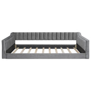 Daybed With Side Storage Pocket - R&R Furniture Gallery (Fountain Valley, CA)
