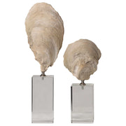 Beige oyster shell sculptures by Uttermost, set of 2, decorative figurines with textured, realistic shell details for home decor.
