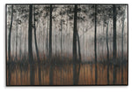 Philyra - Wall Art - Black / Orange / Silver - R&R Furniture Gallery (Fountain Valley, CA)