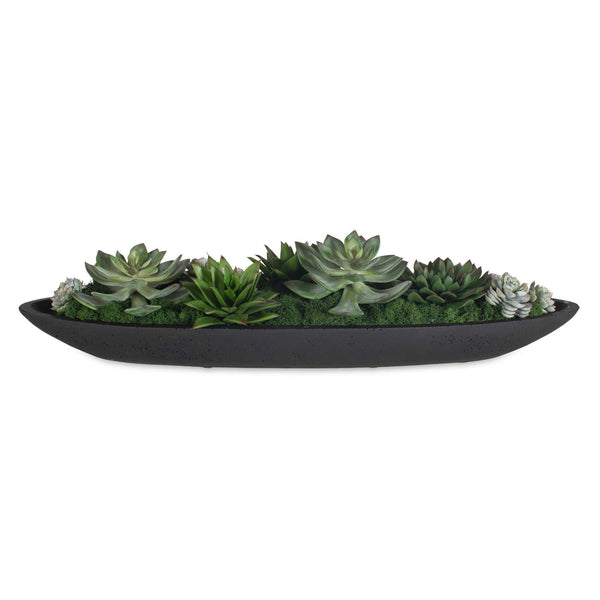 Verde - Succulent Centerpiece In Bowl - Black / Green
