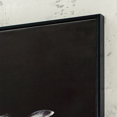Archerwick - Wall Art - Black / White - R&R Furniture Gallery (Fountain Valley, CA)