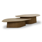 Roche - Nesting Coffee Table Set - R&R Furniture Gallery (Fountain Valley, CA)