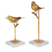 Light brown bird sculptures set of 2 by Uttermost, detailed passerine bird figurines for home decor.