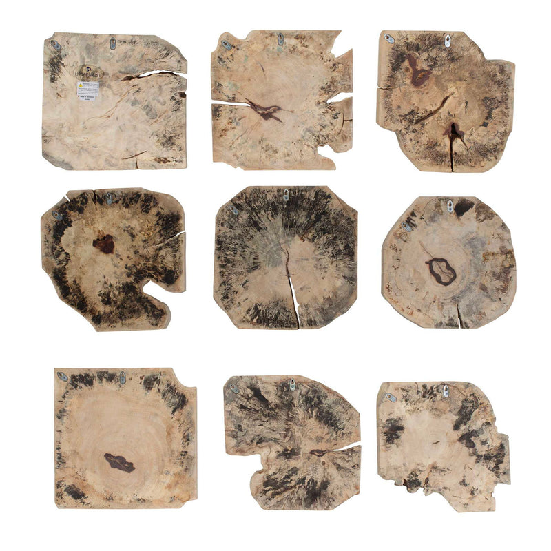 Bahati - Wood Bleached Wall Decor (Set of 9) - Brown