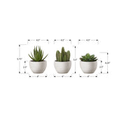 Set of three artificial succulent plants from 8th Street, featuring realistic green and textured leaves in small decorative pots.