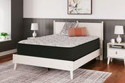 Elite Springs Plush - Mattress - R&R Furniture Gallery (Fountain Valley, CA)